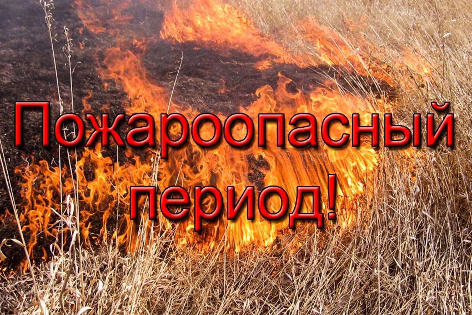 15 и 16 апреля 2024 года на территории Кавказского района ожидается высокая пожароопасность 4 класса