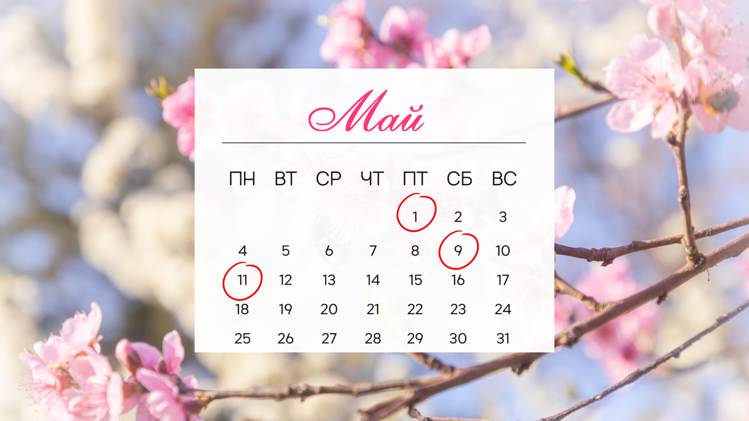 ГРАФИК РАБОТЫ МФЦ КУБАНИ В ПРАЗДНИЧНЫЕ ДНИ