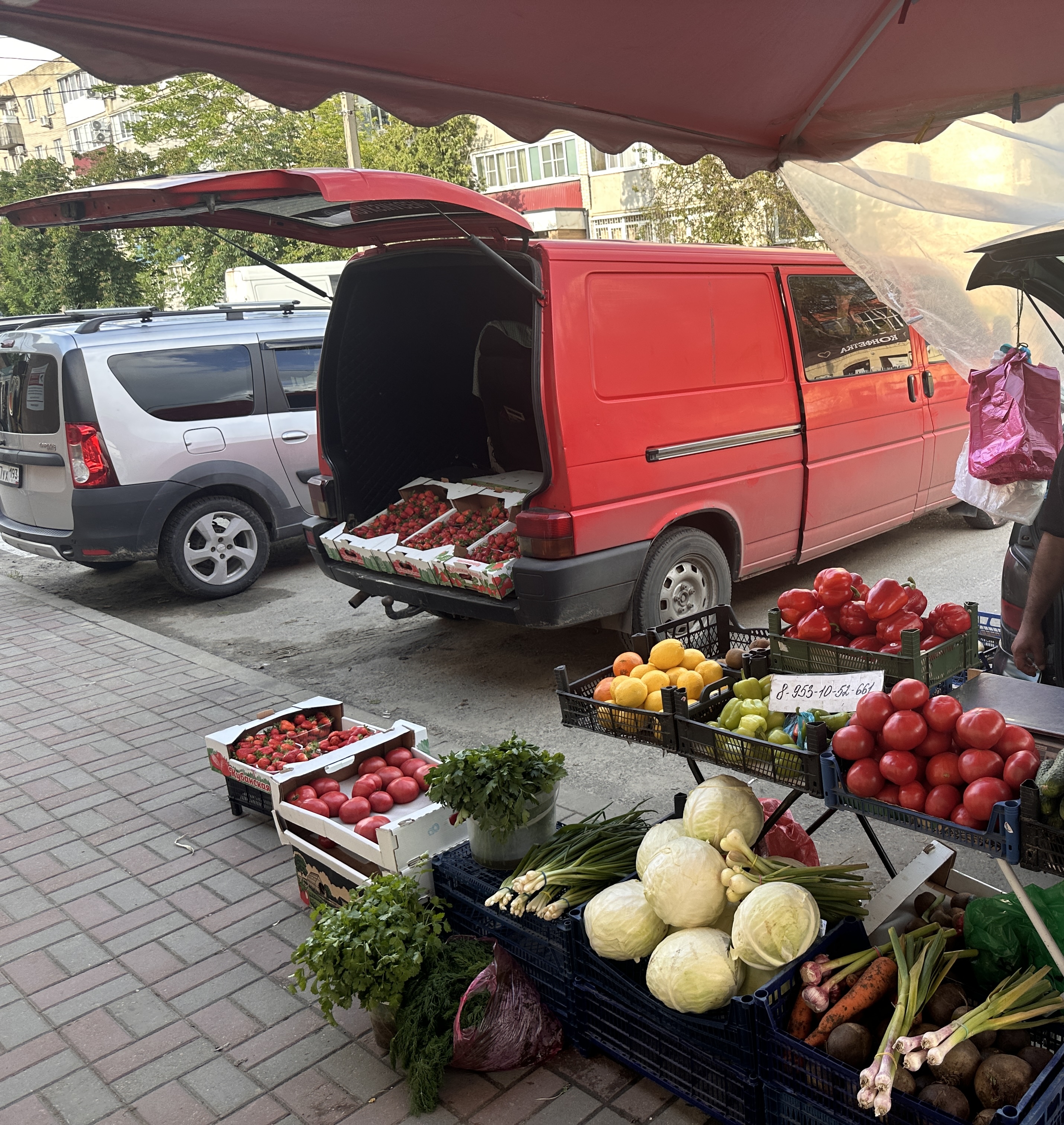 В Кавказском районе специалистами администрации ежедневно проводится мониторинг территории на предмет выявления и пресечения фактов несанкционированной торговли.