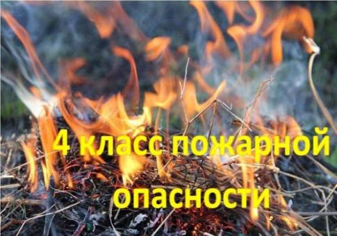 18 и 19 июля ожидается высокая пожароопасность 4 класса