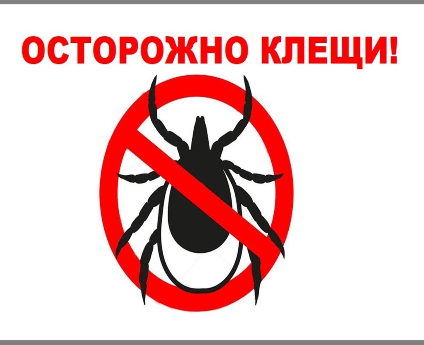 Осторожно – клещи!