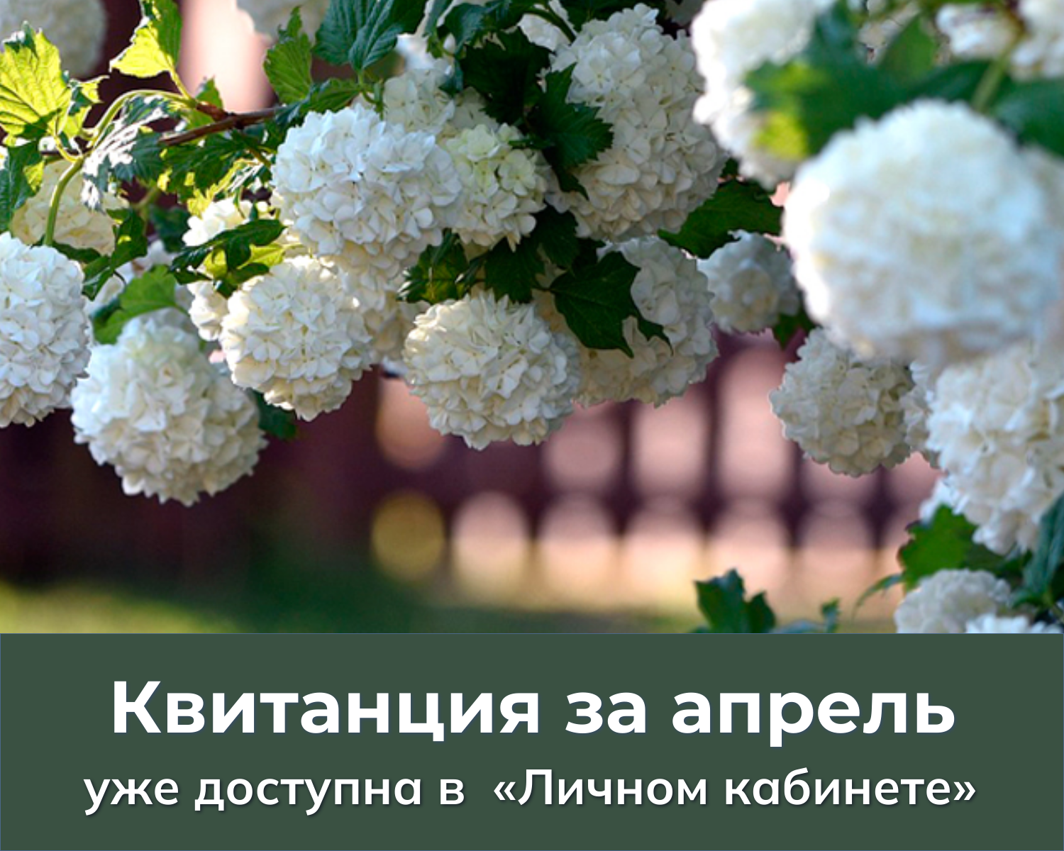 В «Личном кабинете» доступна квитанция для оплаты газа, потребленного в апреле