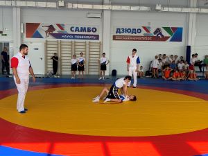 IMG_9500.jpg
