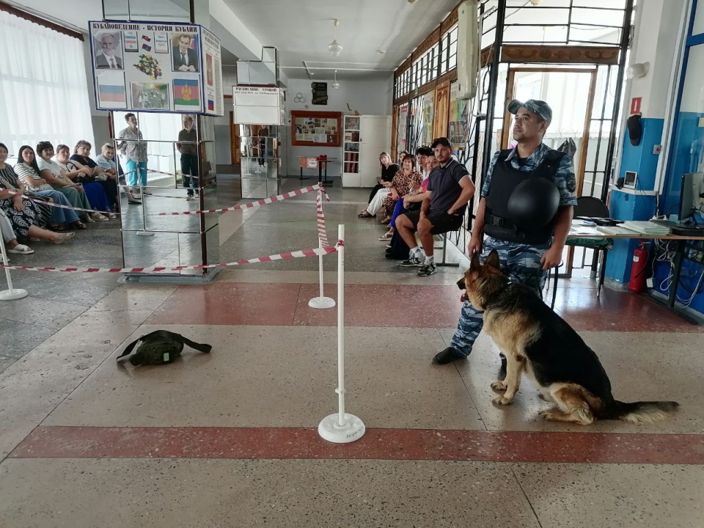 Заставка.jpg