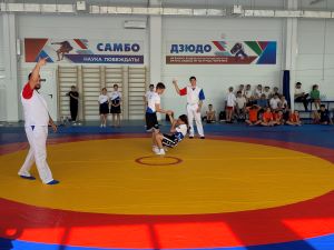 IMG_9501.jpg