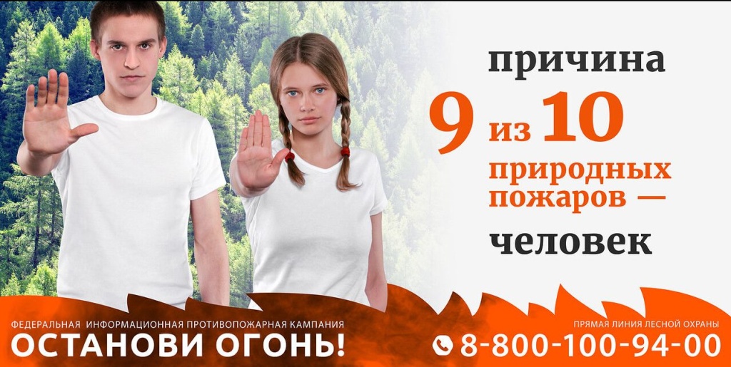 Скриншот 19-03-2025 141447.jpg
