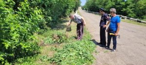 фото уничтожения очага произрастания дикорастущей конопли.jpg