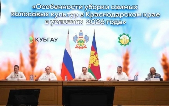 100.jpg