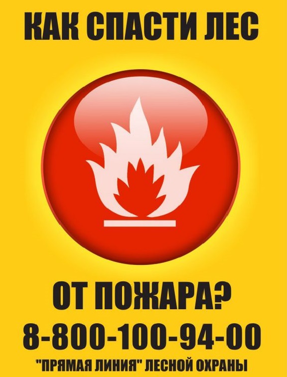 Скриншот 19-03-2025 093817.jpg