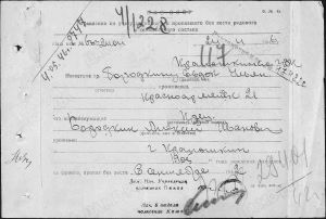 бородки.jpg