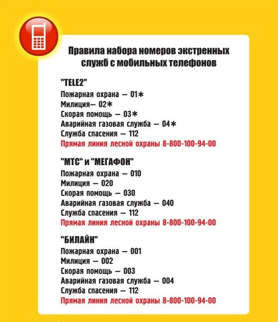 Скриншот 19-03-2025 093835.jpg