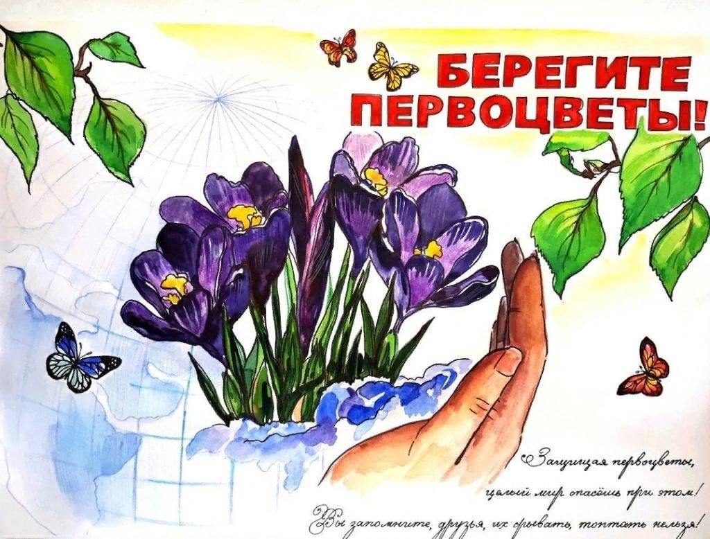 Берегите певоцветы.jpg
