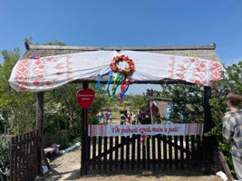 IMG_20230520_192626_465.jpg