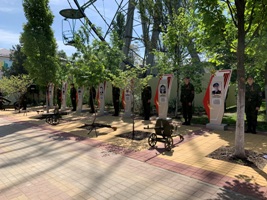 IMG_7467.jpg